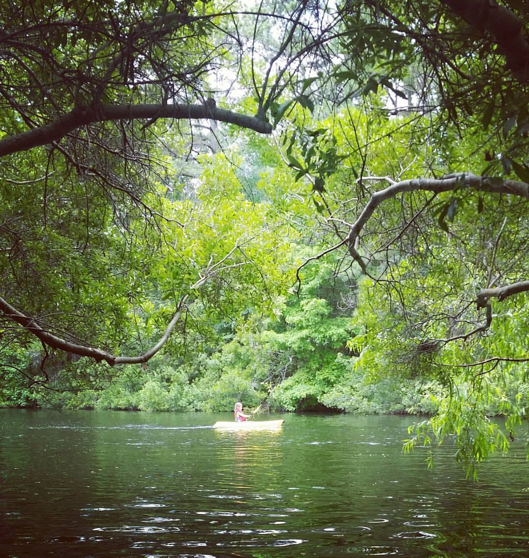 A child kayaking alone on the shaded pond, framed by overhanging tree branches
